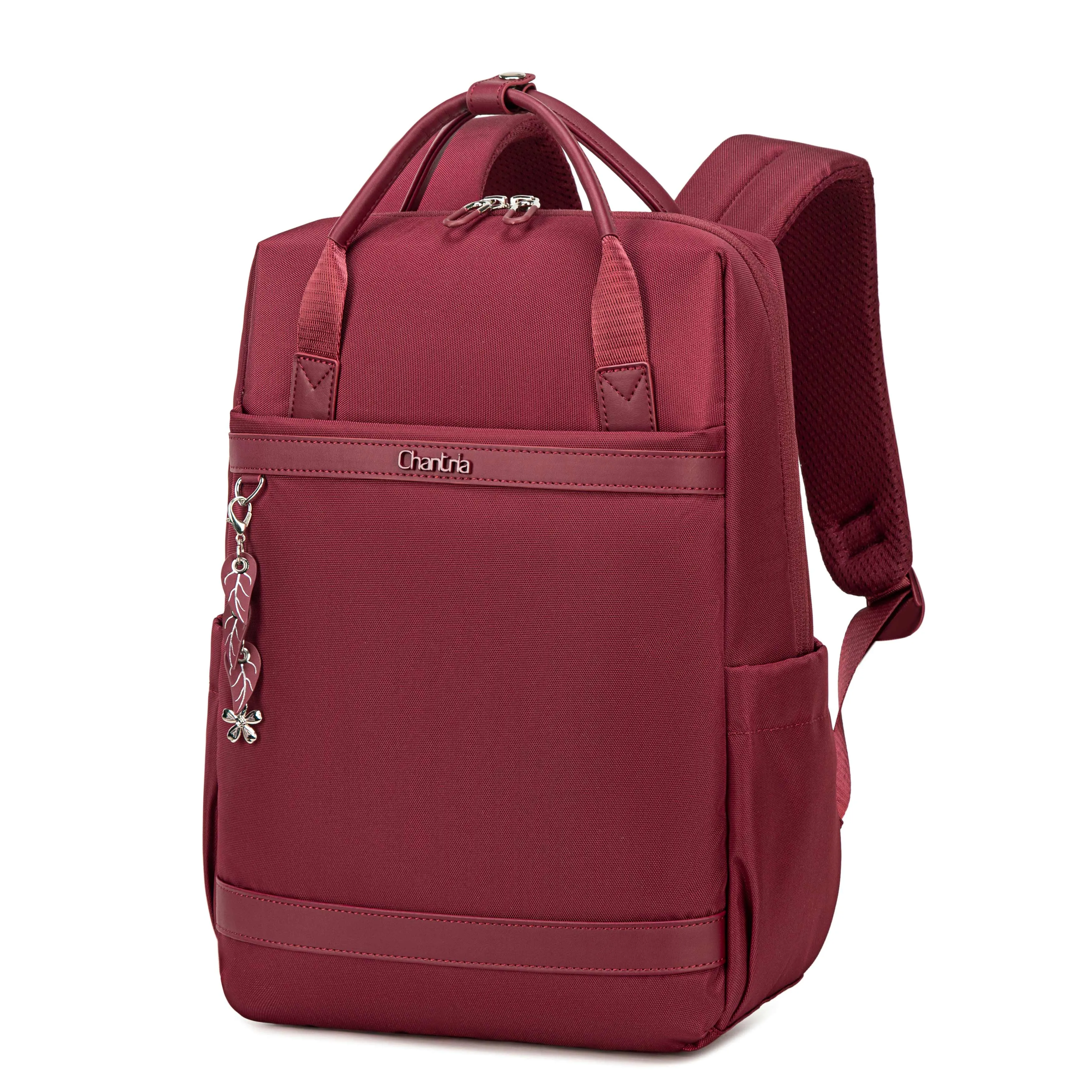 Chantria Premium Lightweight Laptop backpack for Women Water Resistant Multifunctional Anti-Theft Daypack with Separate Laptop Compartment, CB00639