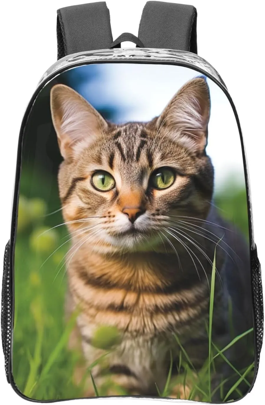 Clear Backpack Heavy Duty PVC Transparent Bookbag A tabby cat on the grass looking at the camera Backpack Daypack Laptop Backpack