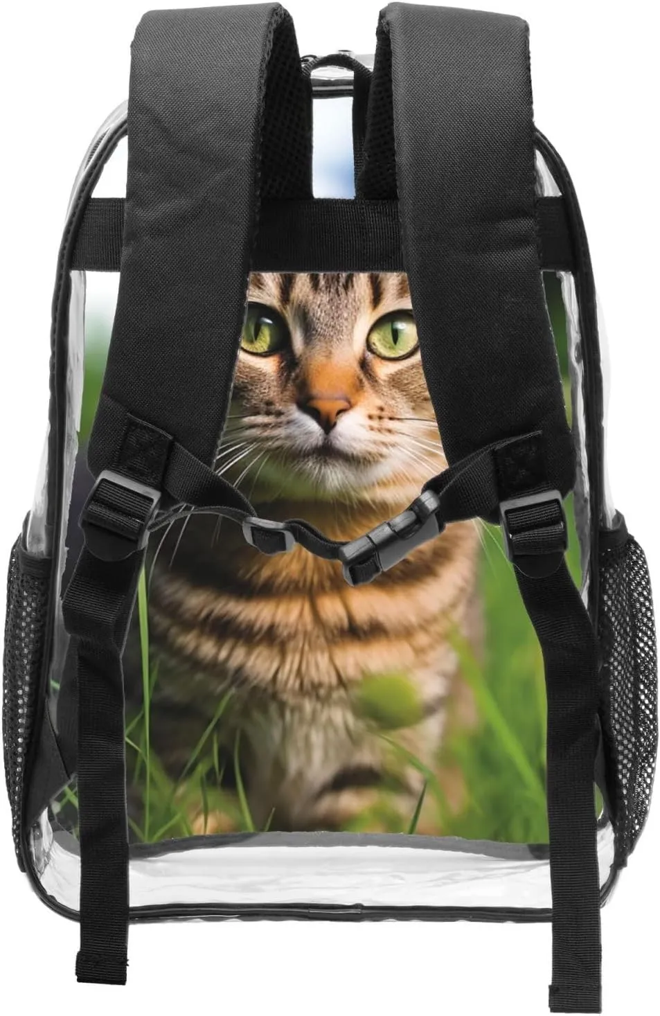 Clear Backpack Heavy Duty PVC Transparent Bookbag A tabby cat on the grass looking at the camera Backpack Daypack Laptop Backpack