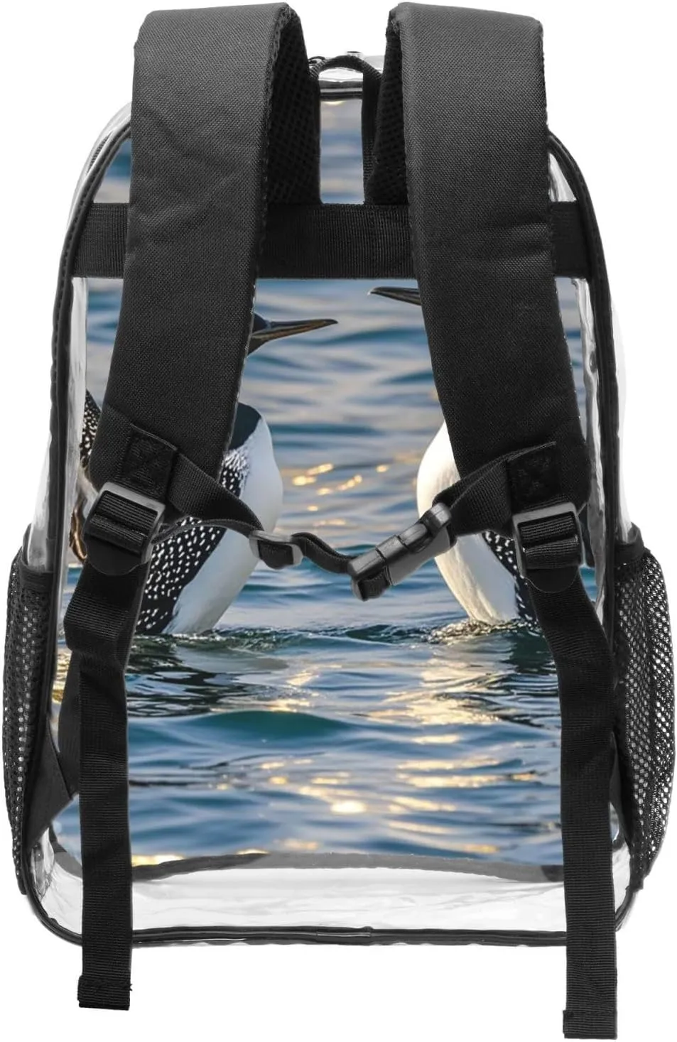 Clear Backpack Heavy Duty PVC Transparent Bookbag Loon Birds Backpack Daypack Laptop Backpack