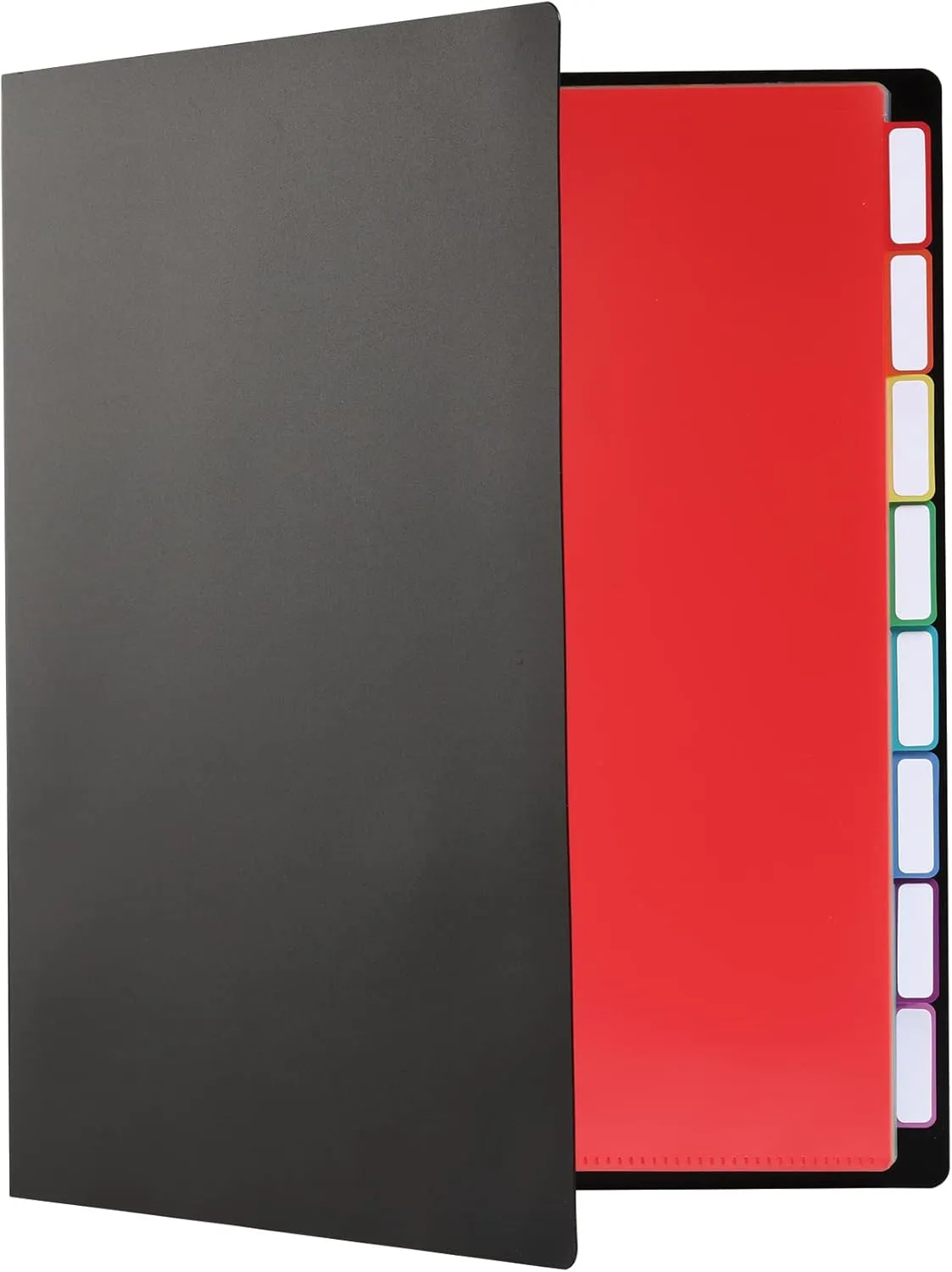 Pendaflex Project Organizer, File Organizer for School, Home and Office, Black with 16 Pockets and 8 Rainbow Tabs, Fits 160 Letter Size Sheets, Poly Tabs with Adhesive Labels (83144)