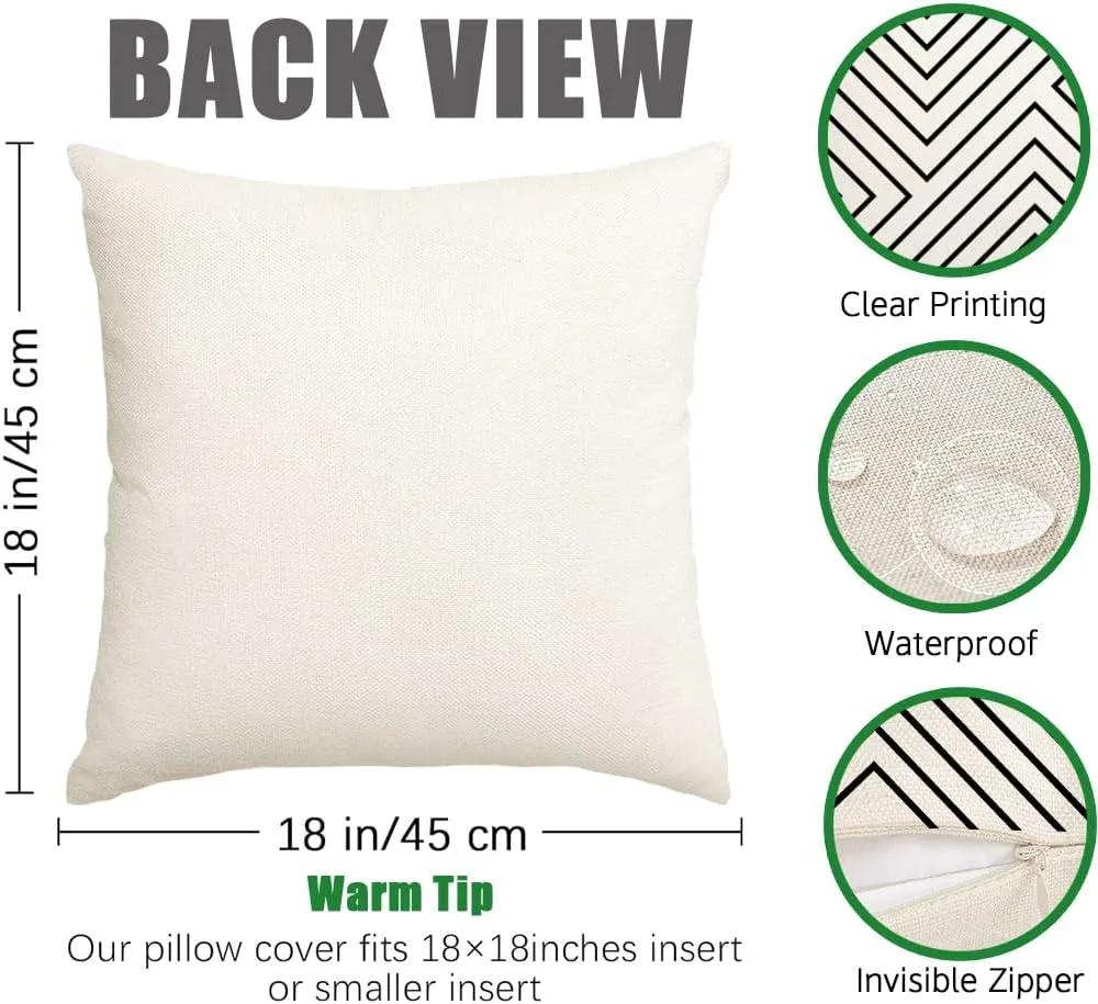 RABUSOFA Outdoor Pillows Waterproof,20x20 inch Black and White Outdoor Pillows Boho Set of 4 for Patio Furniture,Sunbrella Outdoor Pillow Covers for Couch(2W-20) (Black and White, 20"x20")