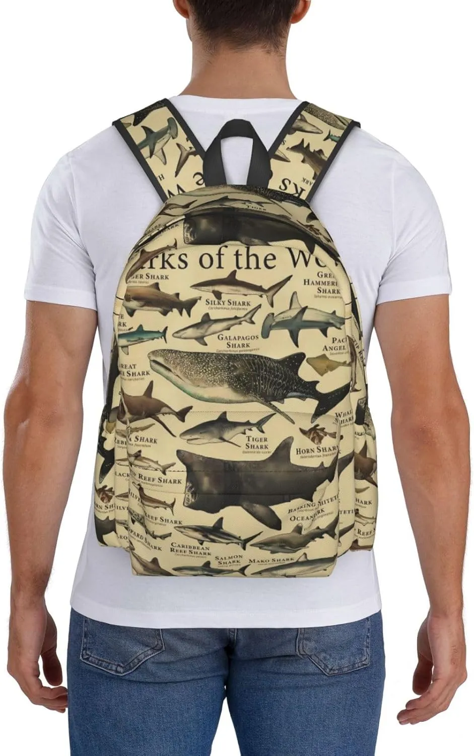 Shark Knowledge Sharks Of The World Laptop Backpack Shoulder Bag Laptop Pack Travel Backpacks Commuter Back Pack Casual Daypack Bags With Side Pockets