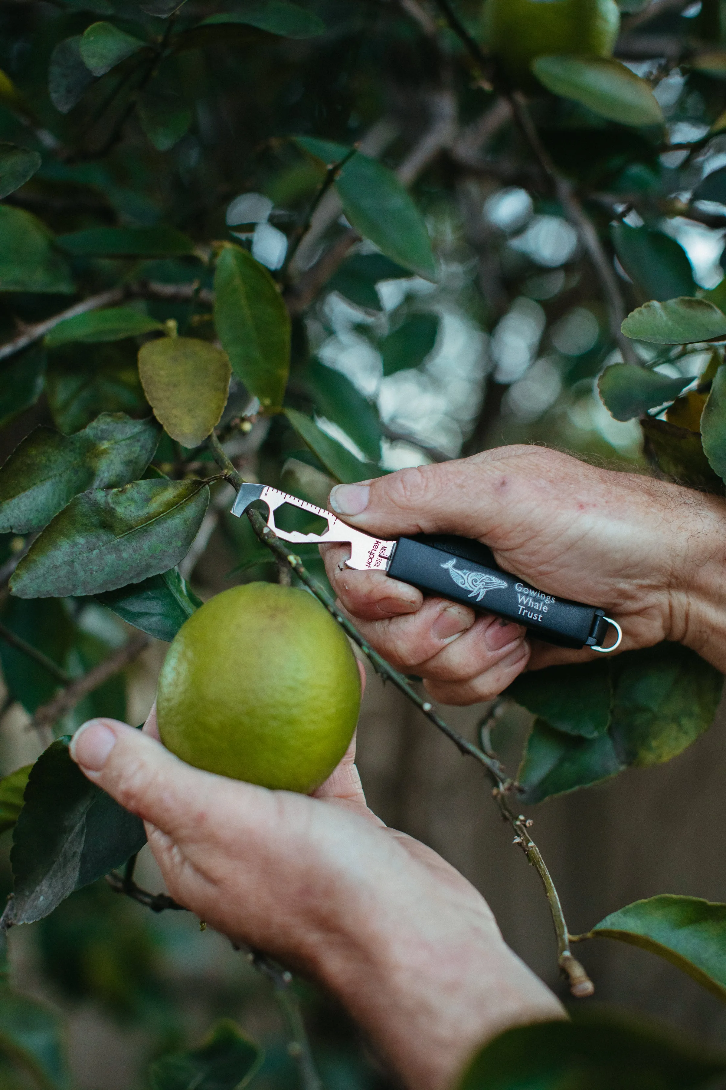 Whale Trust Keyport Tool